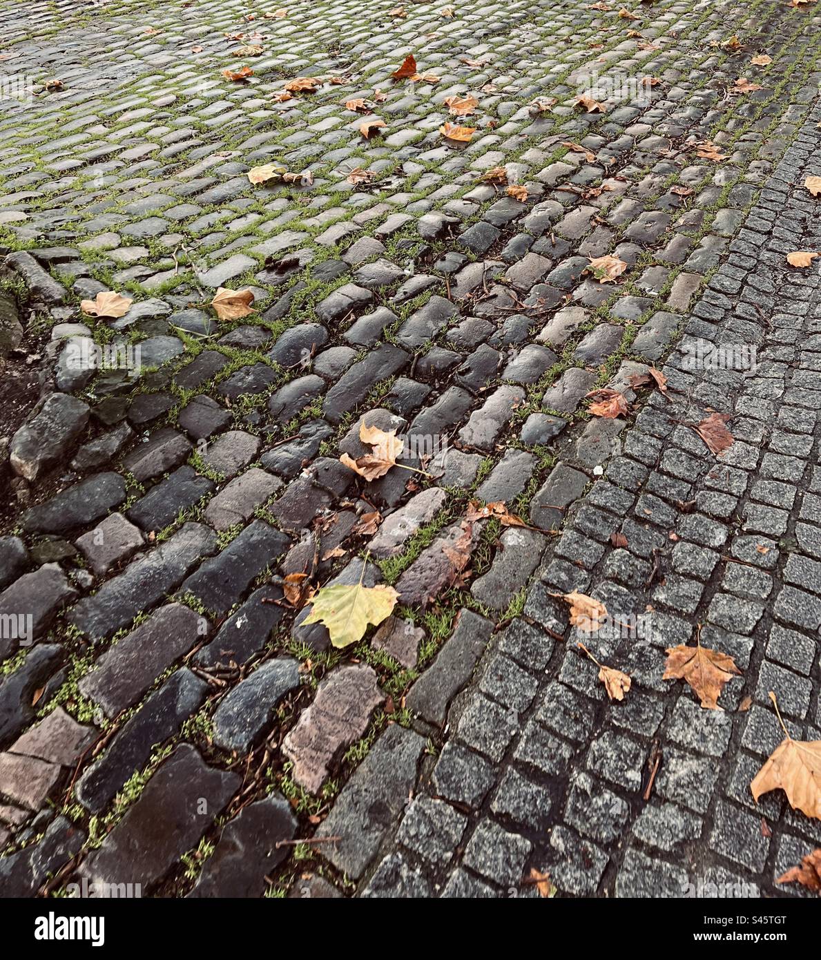 Altes Kopfsteinpflaster in Bristol, Großbritannien Stockfoto