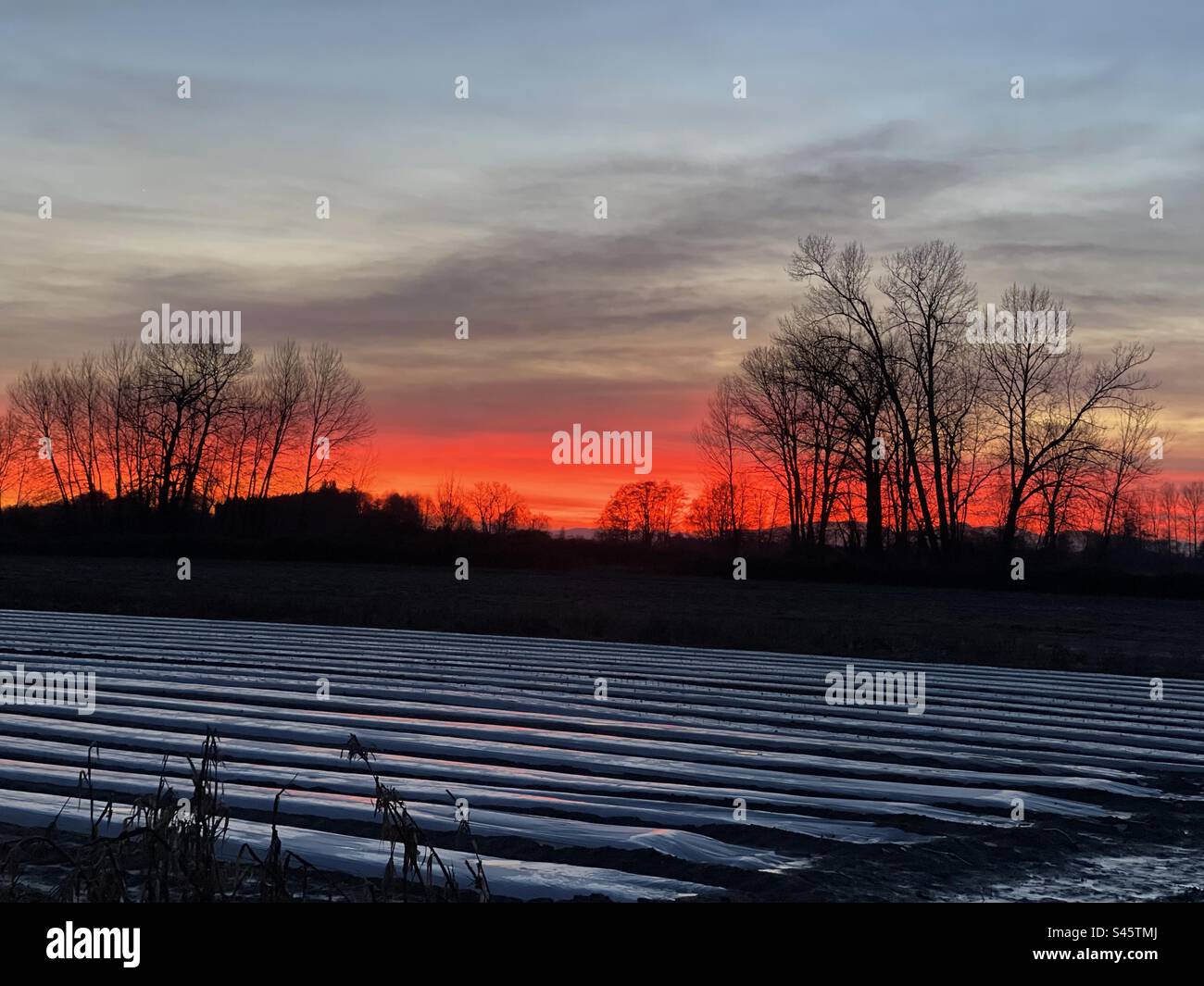 Sonnenuntergang über Feld Stockfoto