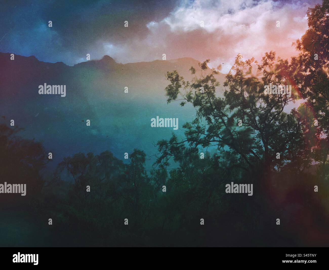 Ein stimmungsvoller dunkler Baum und Berghimmelslandschaft im Hintergrund Stockfoto