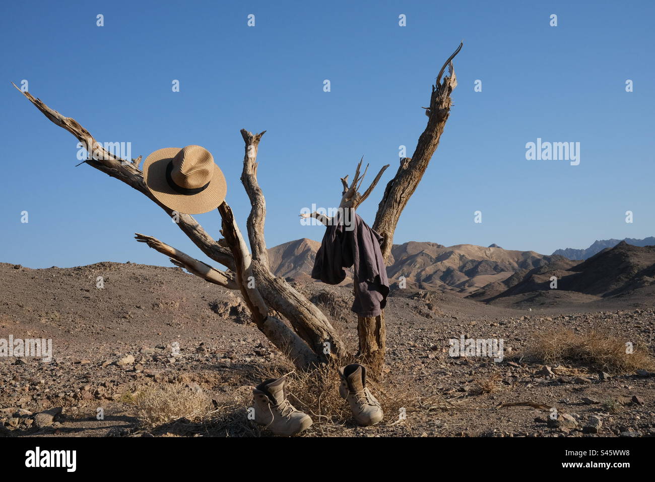 Kleidung hängt in der Wüste an Bäumen Stockfoto