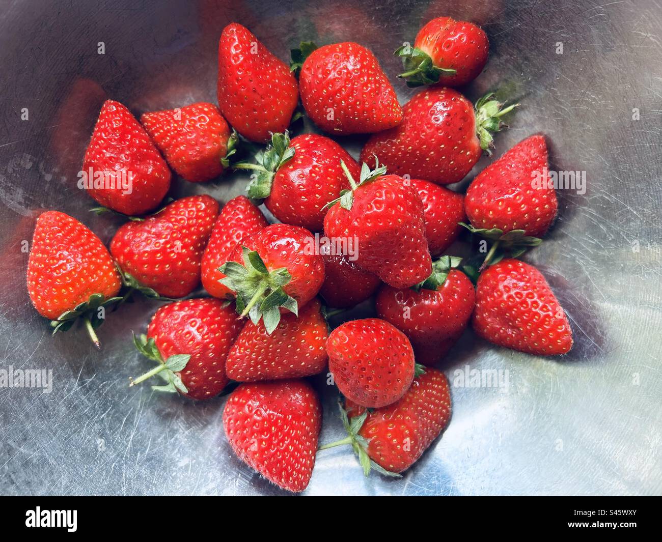 Frische Sommererdbeeren in einer Edelstahlschüssel. Stockfoto