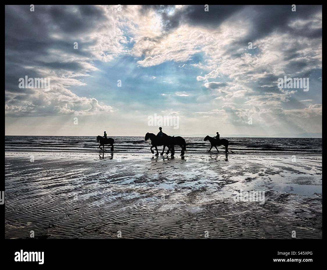 Pferde auf Ayr Beach Stockfoto