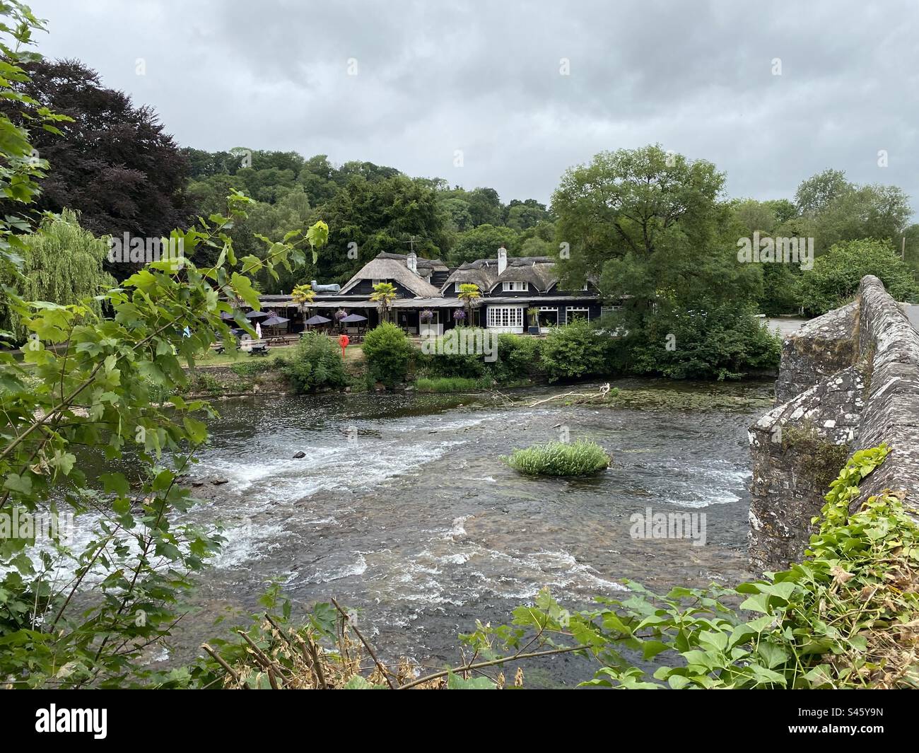 Blick auf den Fluss exe von der Bickleigh-Brücke in Devon Stockfoto