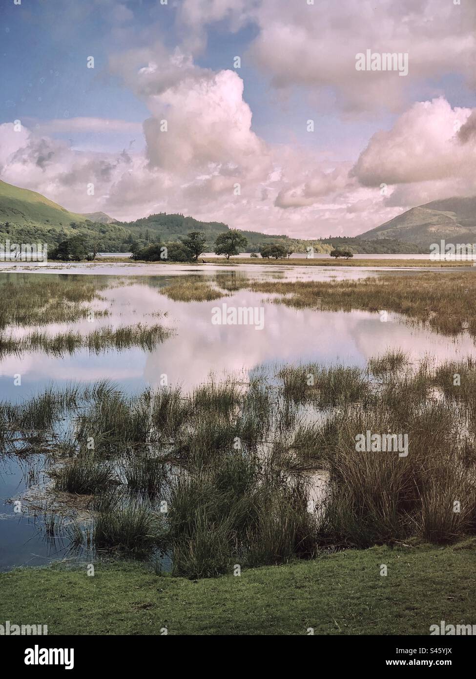 Die überschwemmte Wiesenlandschaft des Flusses Derwent, der in Borrowdale im Lake District Cumbria England in Derwentwater eindringt - Smartphone-aufgenommenes Stockfoto