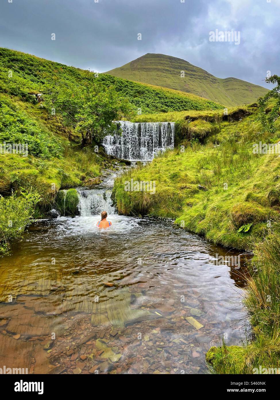 Junge Frau, die in einem Pool unter einem Wasserfall schwimmt, Bannau Brycheniog ( Brecon Beacons) Wales, Juli. Stockfoto