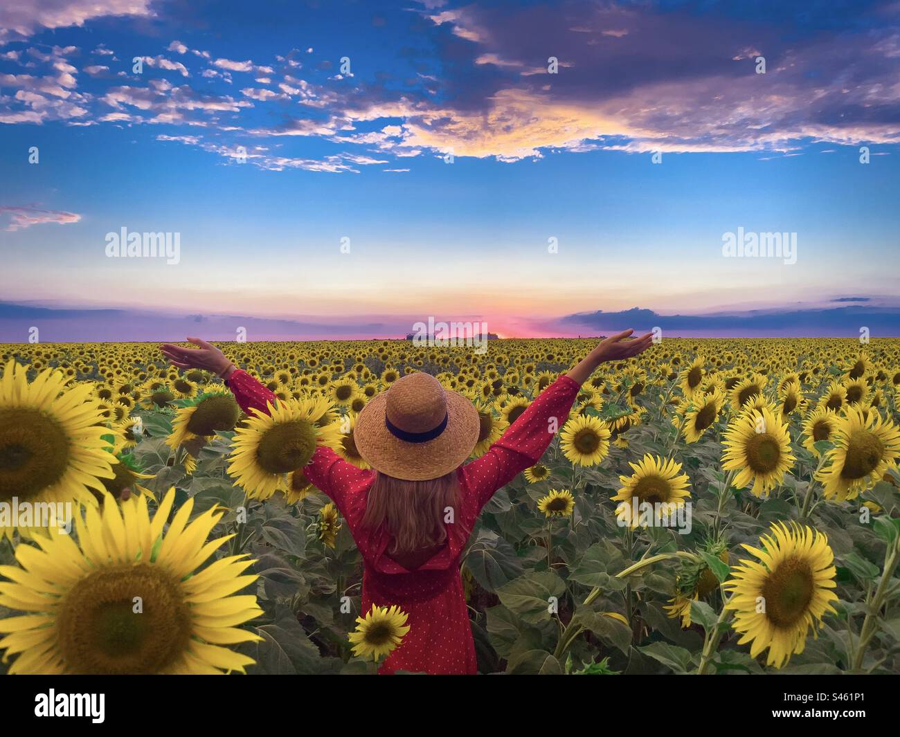 Rückansicht einer Frau mit Sommerkleid und Hut, die glücklich auf einem Feld voller blühender Sonnenblumen ist Stockfoto
