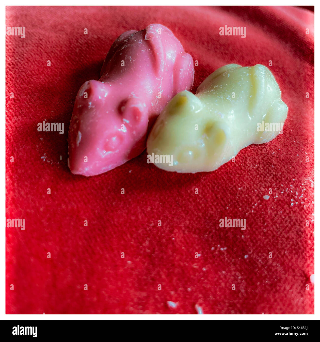 Picknmix-Schokoladenmäuse Stockfoto