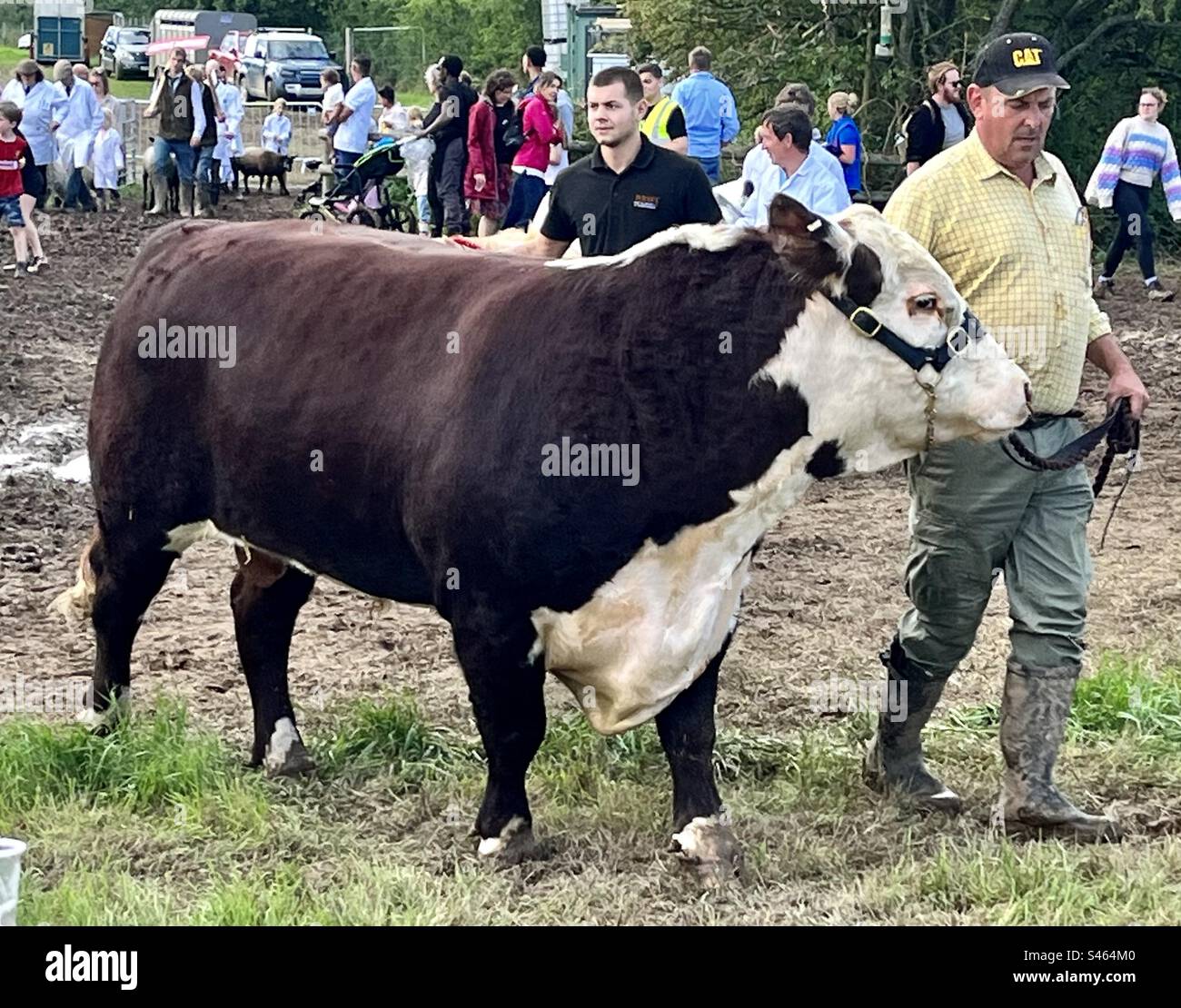 Große Parade bei South glos Show 2023 Stockfoto