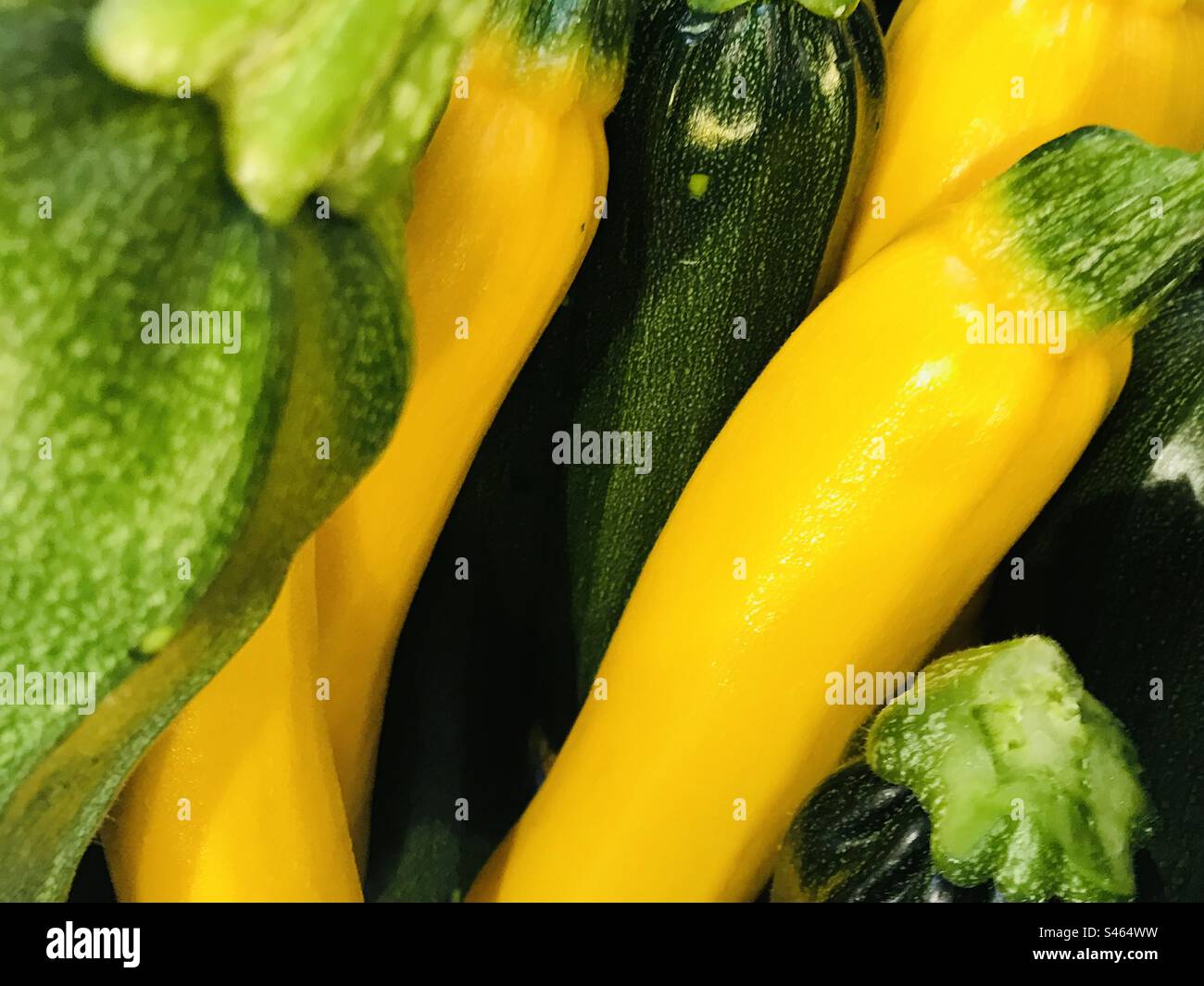 Gelbe und grüne Zucchini - Smartphone-aufgenommenes Stockfoto