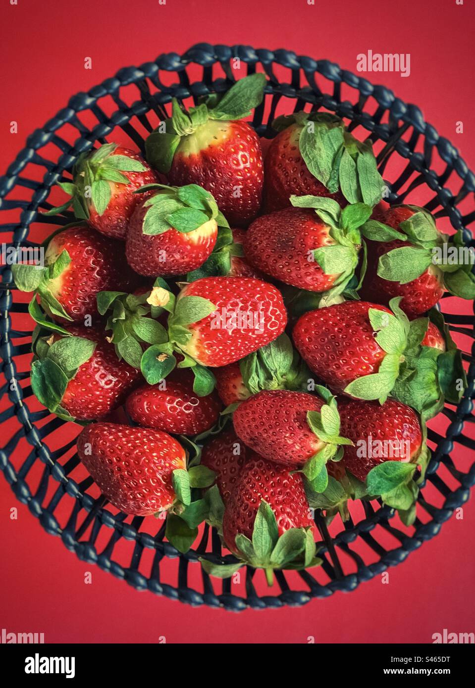 Direkt über der Ansicht frischer biologischer Erdbeeren in schwarzem Korb auf rotem Hintergrund. - Smartphone-aufgenommenes Stockfoto