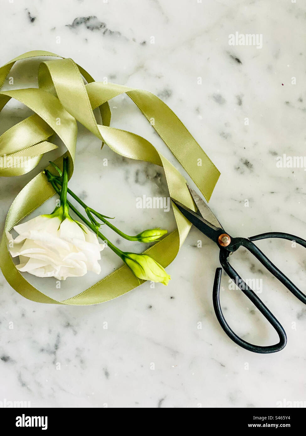 Standbild von weißen Rosenblumen und Knospen, grünem Band und alten Scheren auf Marmorhintergrund. - Smartphone-aufgenommenes Stockfoto