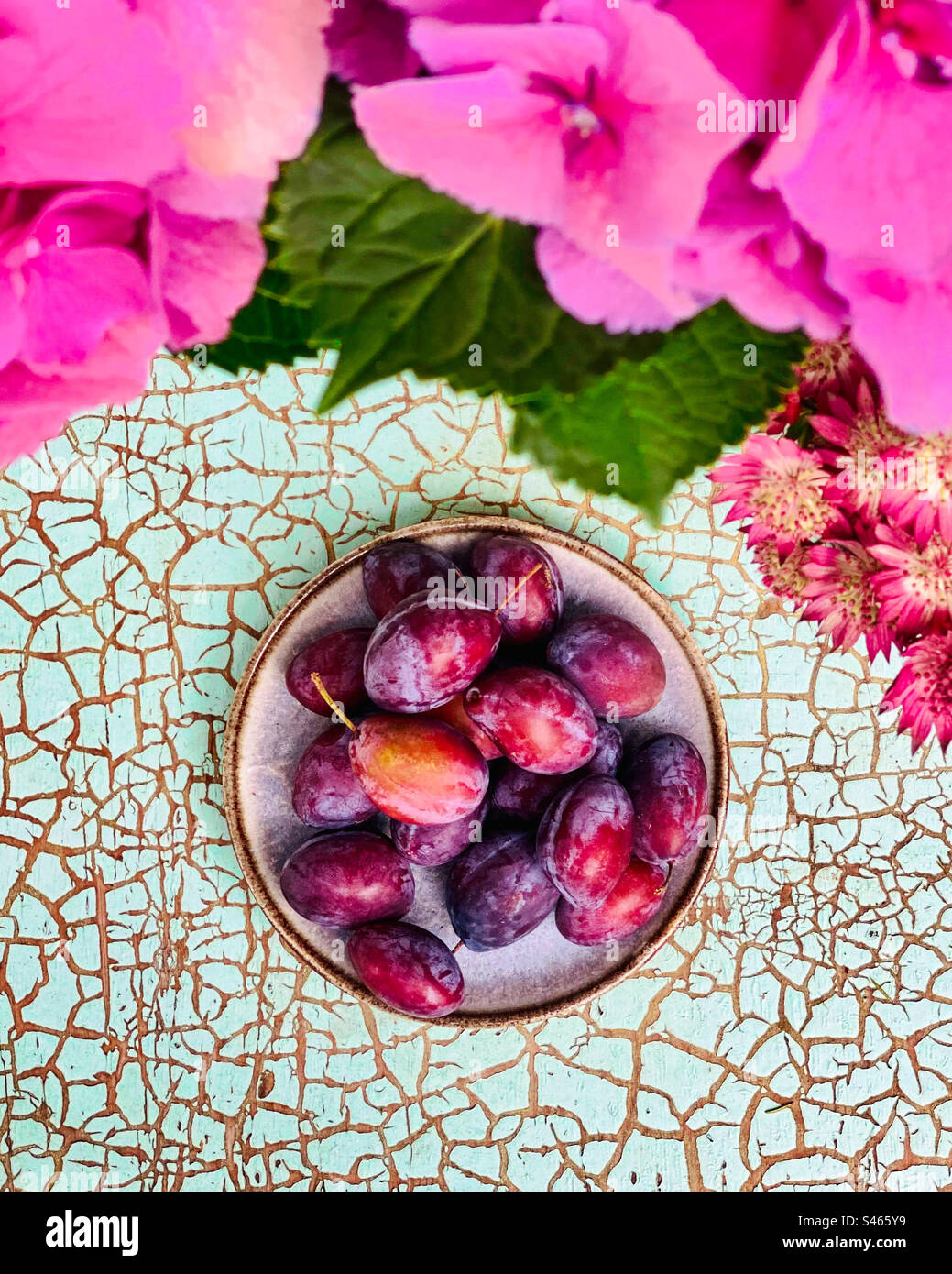Standbild einer Schüssel frischer Pflaumen auf einem strukturierten türkisfarbenen Hintergrund, eingerahmt von frischen rosa Blumen und Grün. - Smartphone-aufgenommenes Stockfoto