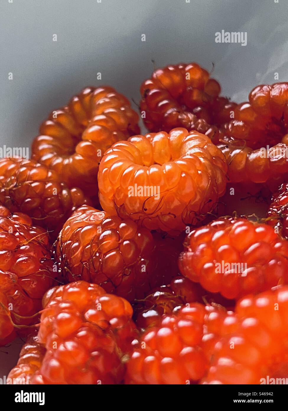 „ Himbeere “ eine saftige Frucht Stockfoto