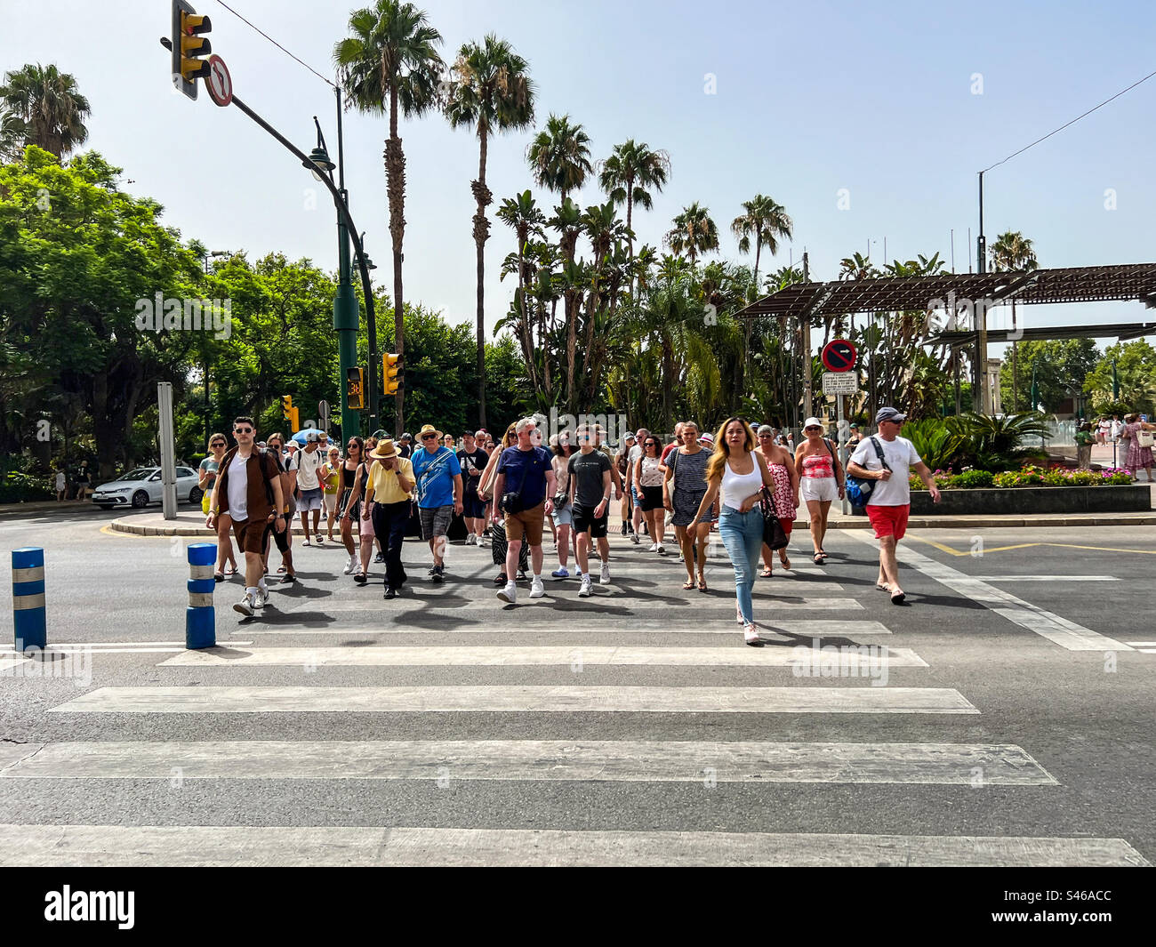 Fußgänger auf Zebraüberquerung in Malaga Spanien Stockfoto