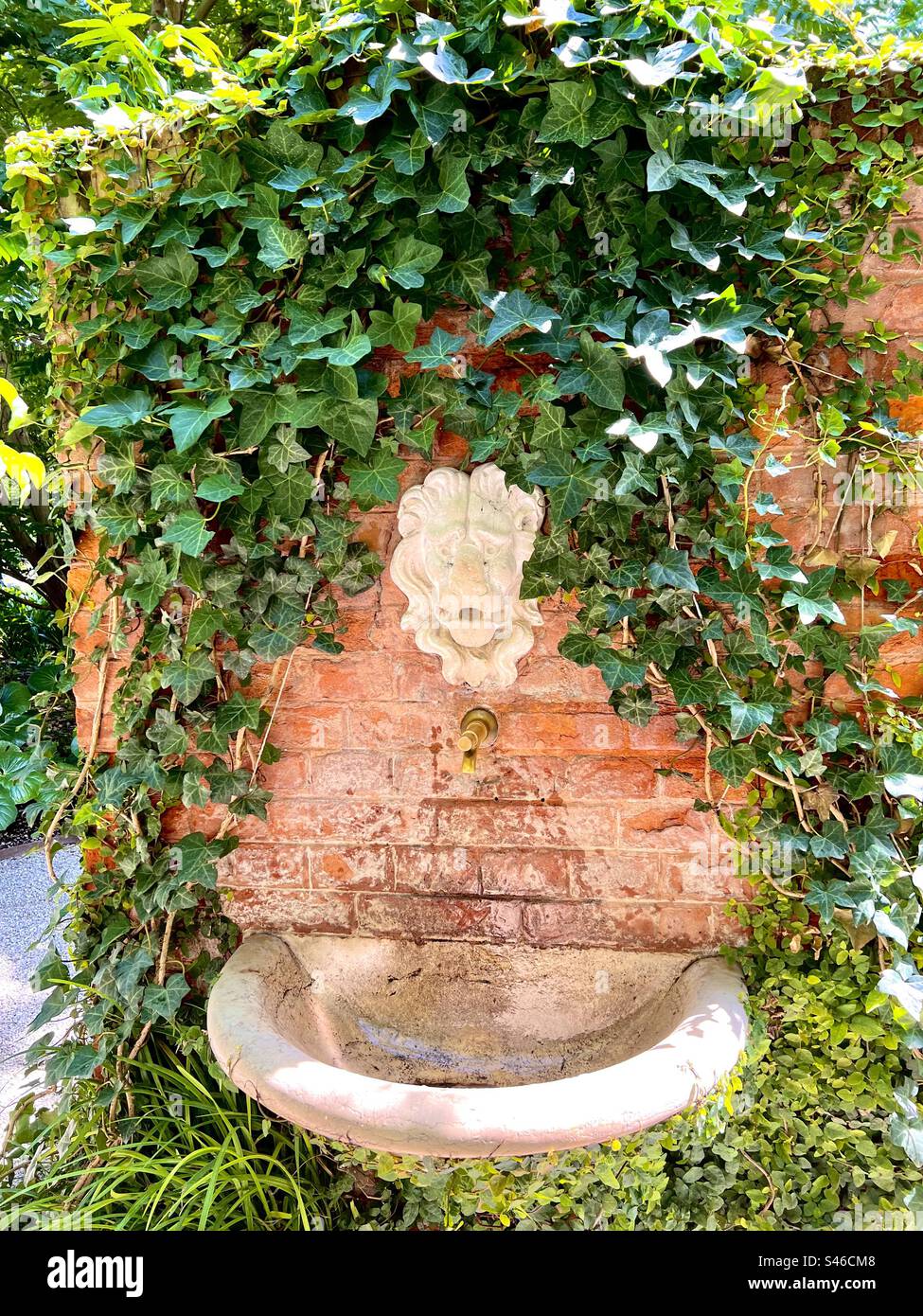 Ivy-Wasserbrunnen in Giardini Reali, San Marco, Venedig - Smartphone-aufgenommenes Stockfoto