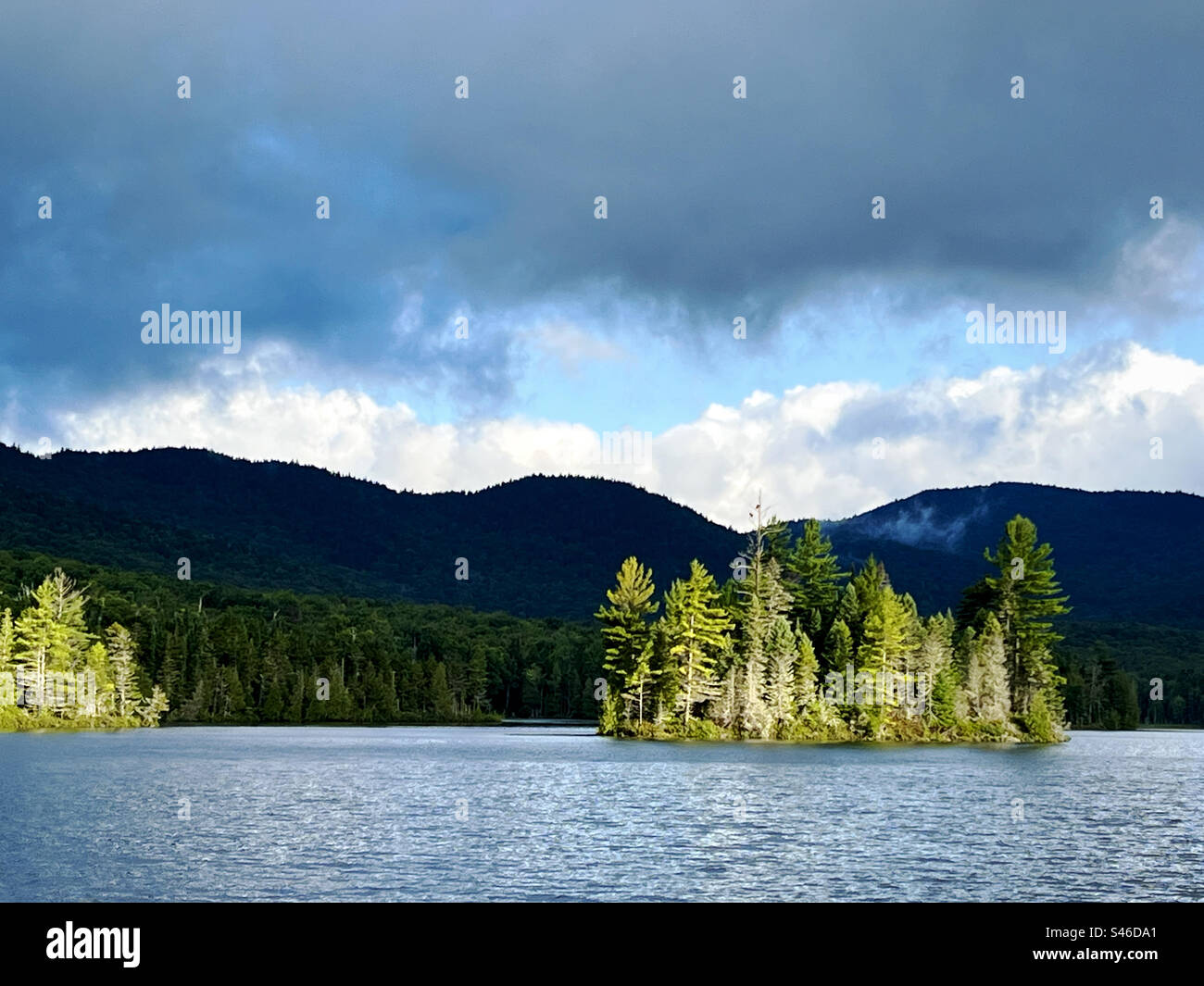 Sonnenlicht scheint auf einer kleinen Insel mit Bäumen am Elk Lake in den Adirondack Mountains, NY, USA. - Smartphone-aufgenommenes Stockfoto