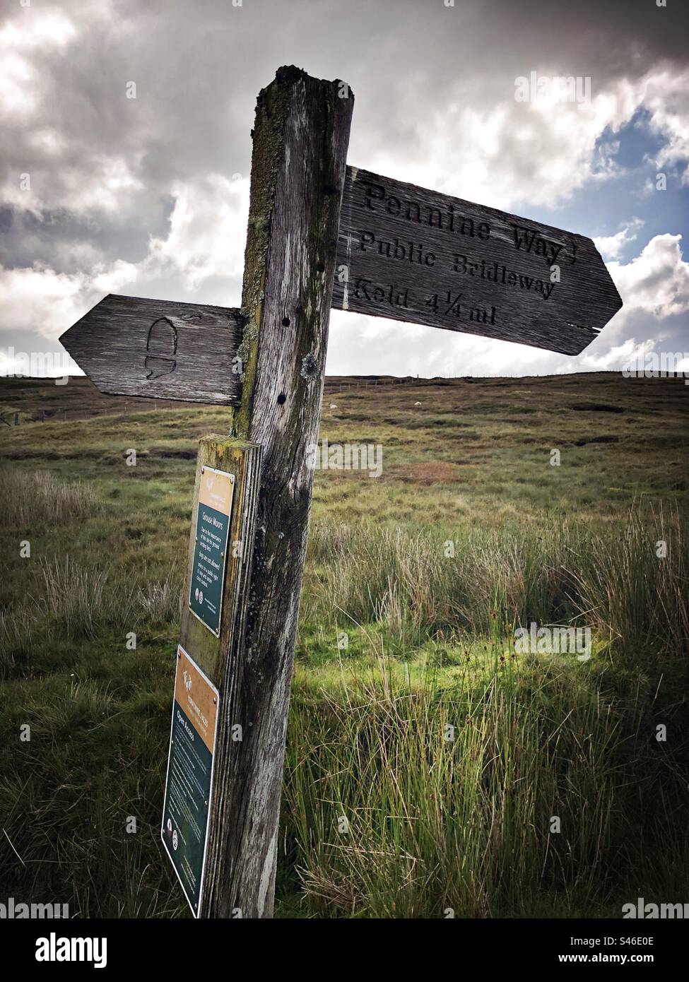 Hölzerner Wegweiser entlang des Pennine Way in den Yorkshire Dales. Stockfoto