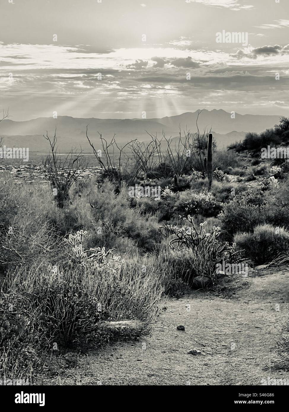 Sonnenaufgang über vier Zinnen, Fountain Hills, Arizona, Sonnenstrahlen, Strahlen von Ocotillo, spröde Büsche, chollakteen, Saguaro, Adero Canyon Ausgangspunkt Stockfoto