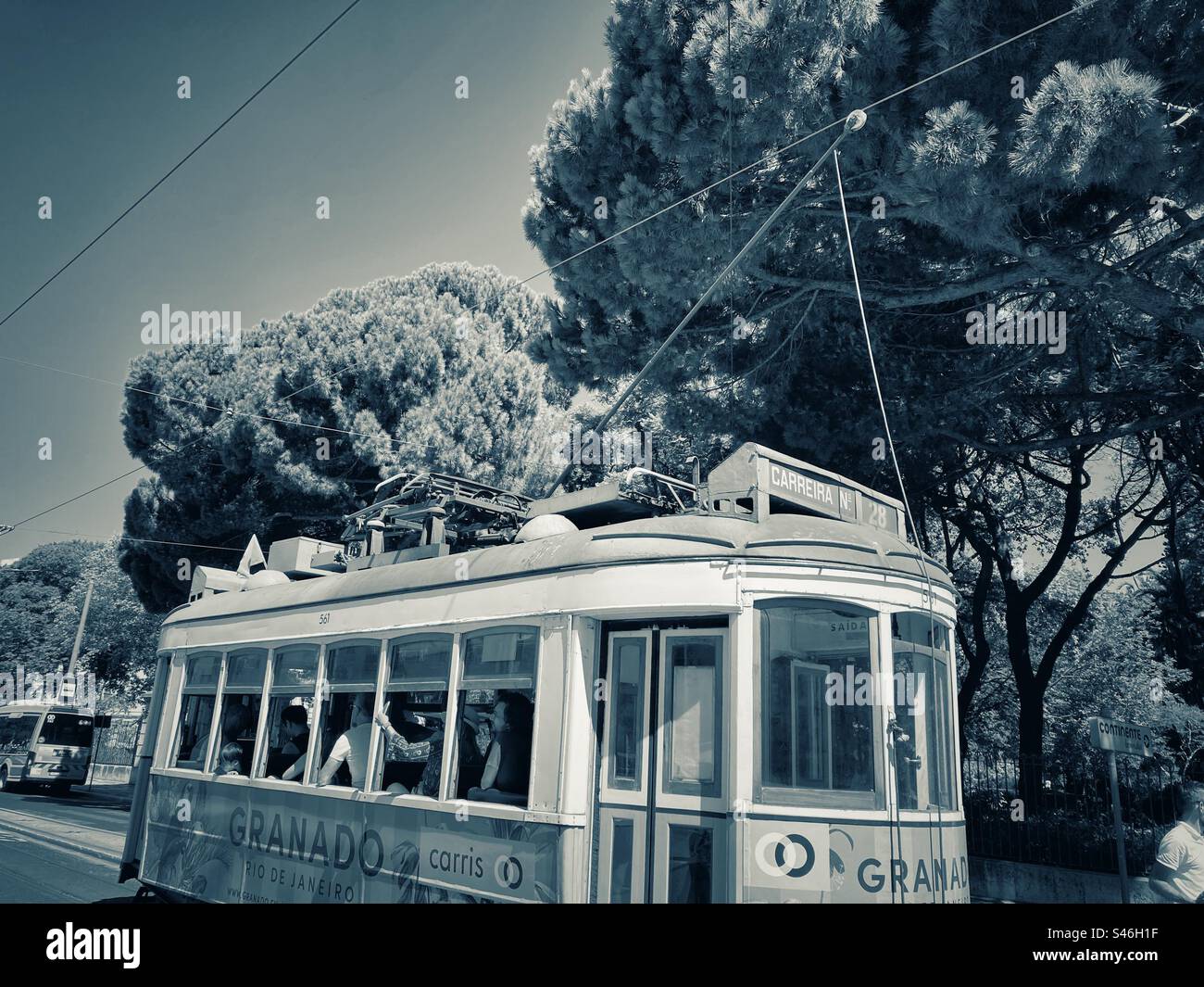 Die beliebte traditionelle Straßenbahn „carreira“ 28, die in der Nähe einiger der wichtigsten Sehenswürdigkeiten der Stadt Lissabon vorbeifährt, hier in der Nähe der Haltestelle Estrela (Kirche und Garten). Stockfoto