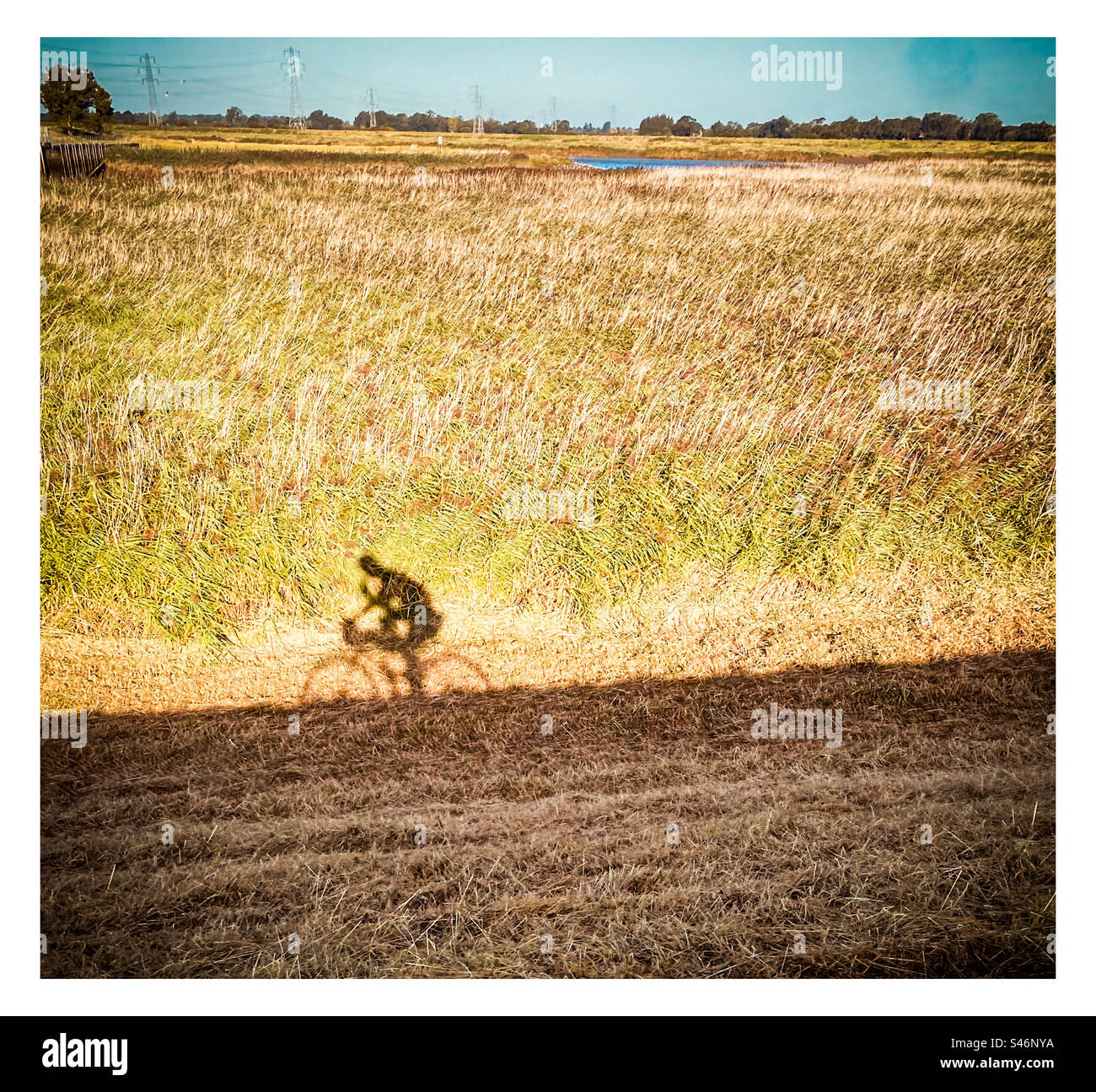 Der Schatten eines Radfahrers auf einer Radtour in Kings Lynn in England - Smartphone-aufgenommenes Stockfoto