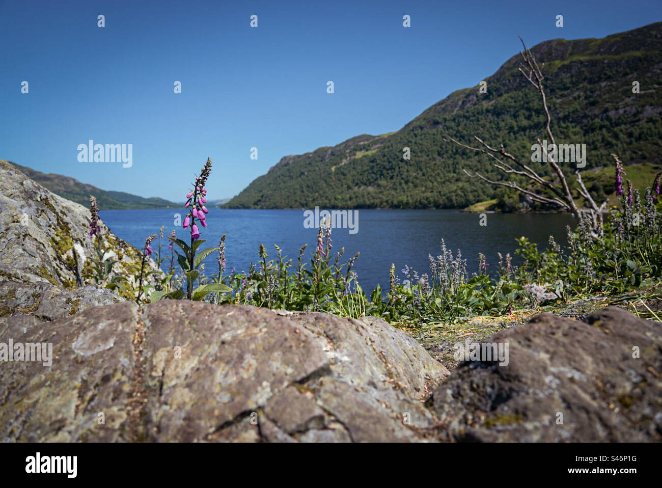 Am See Stockfoto