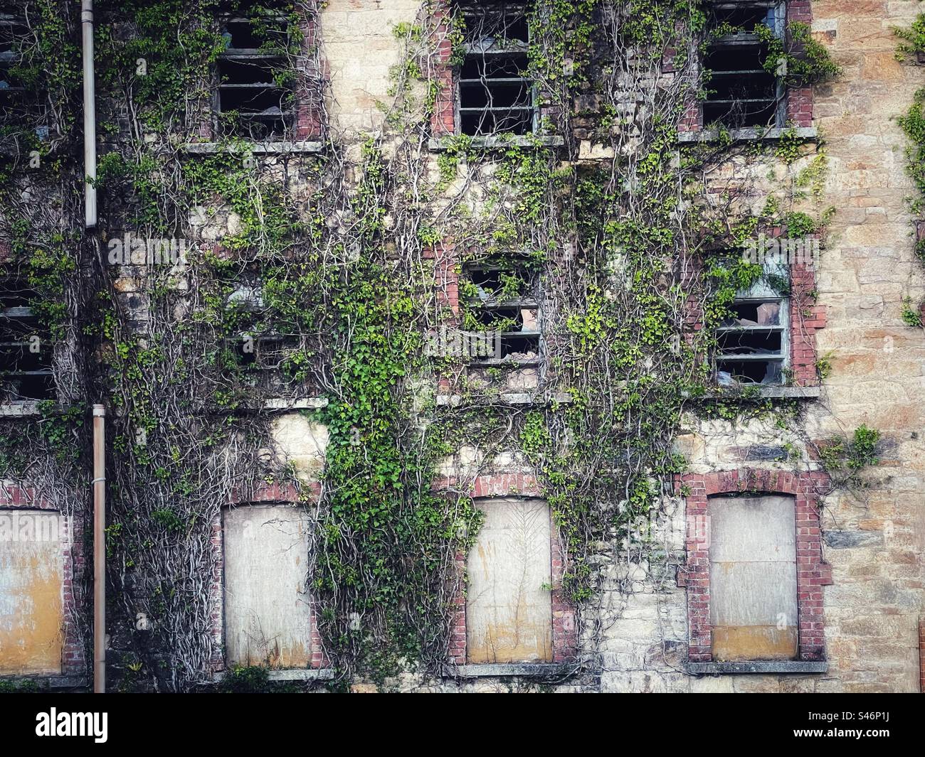 Derelict Kilmacthomas Woollen Mill im County Waterford, Irland. Stockfoto