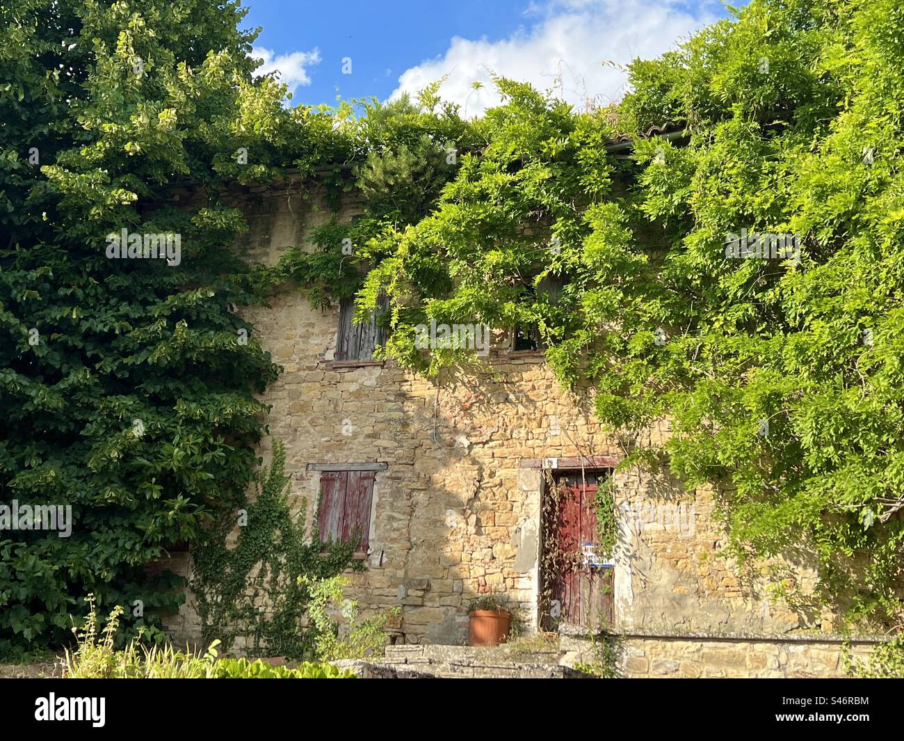 Bauwerk mit Bäumen und Efeu in Monfestino, Serramazzoni, Italien Stockfoto
