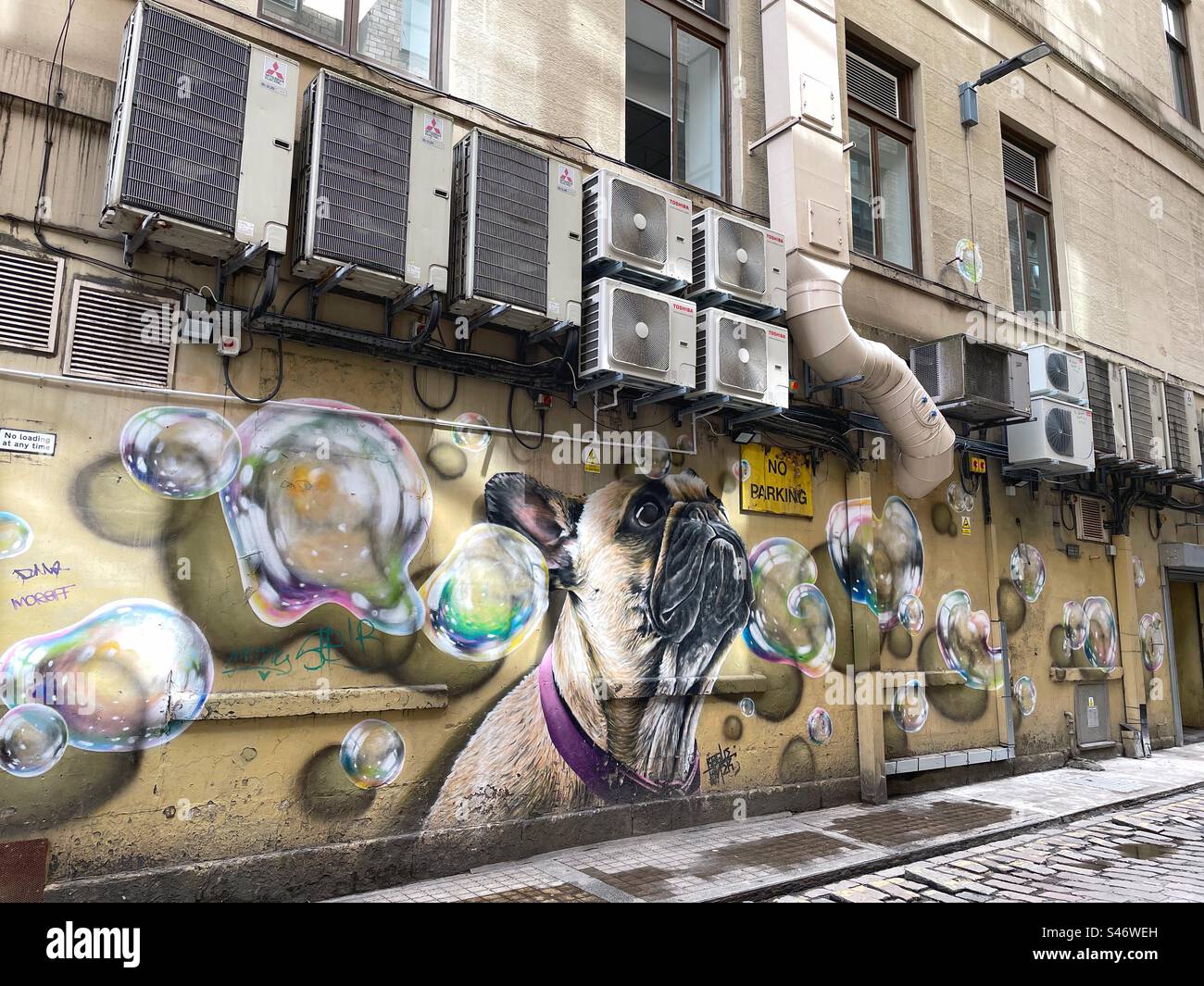 Graffiti-Wandgemälde in der Nähe der Renfield Street im Stadtzentrum von Glasgow mit einem Mops-Hund und dem Heizungs-/Lüftungssystem für das Gebäude. - Smartphone-aufgenommenes Stockfoto