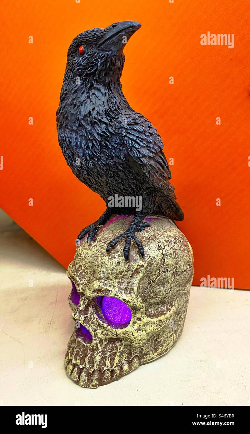 Halloween-Dekor - Rabe auf Schädel - Smartphone-aufgenommenes Stockfoto