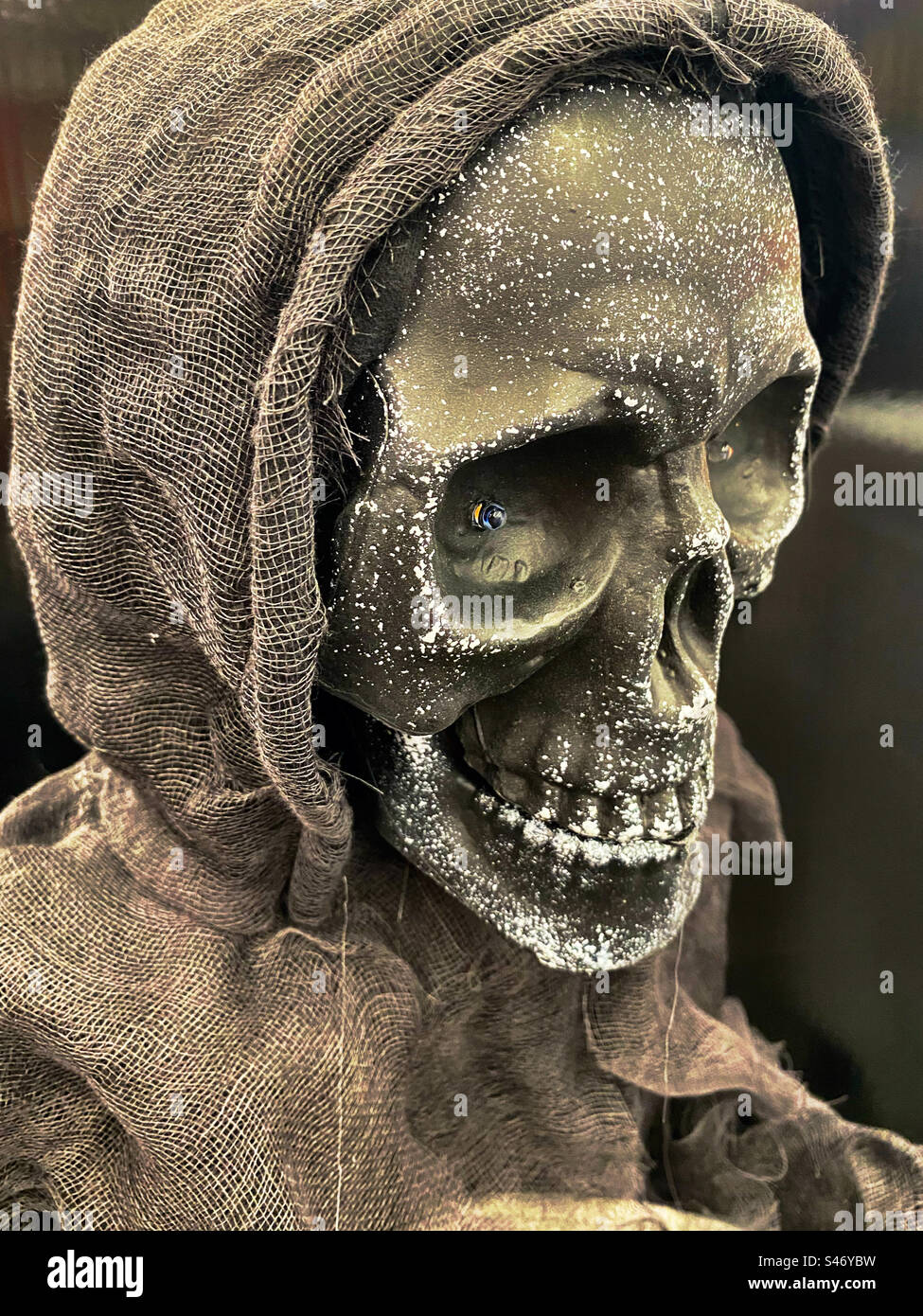Halloween-Deko - Schädel mit Kapuze - Smartphone-aufgenommenes Stockfoto