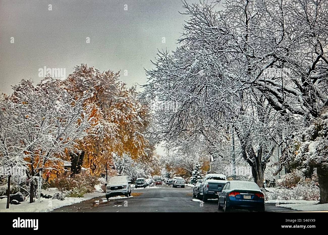First Snow, 22. Oktober 2022, Calgary Street Scene, Alberta Stockfoto