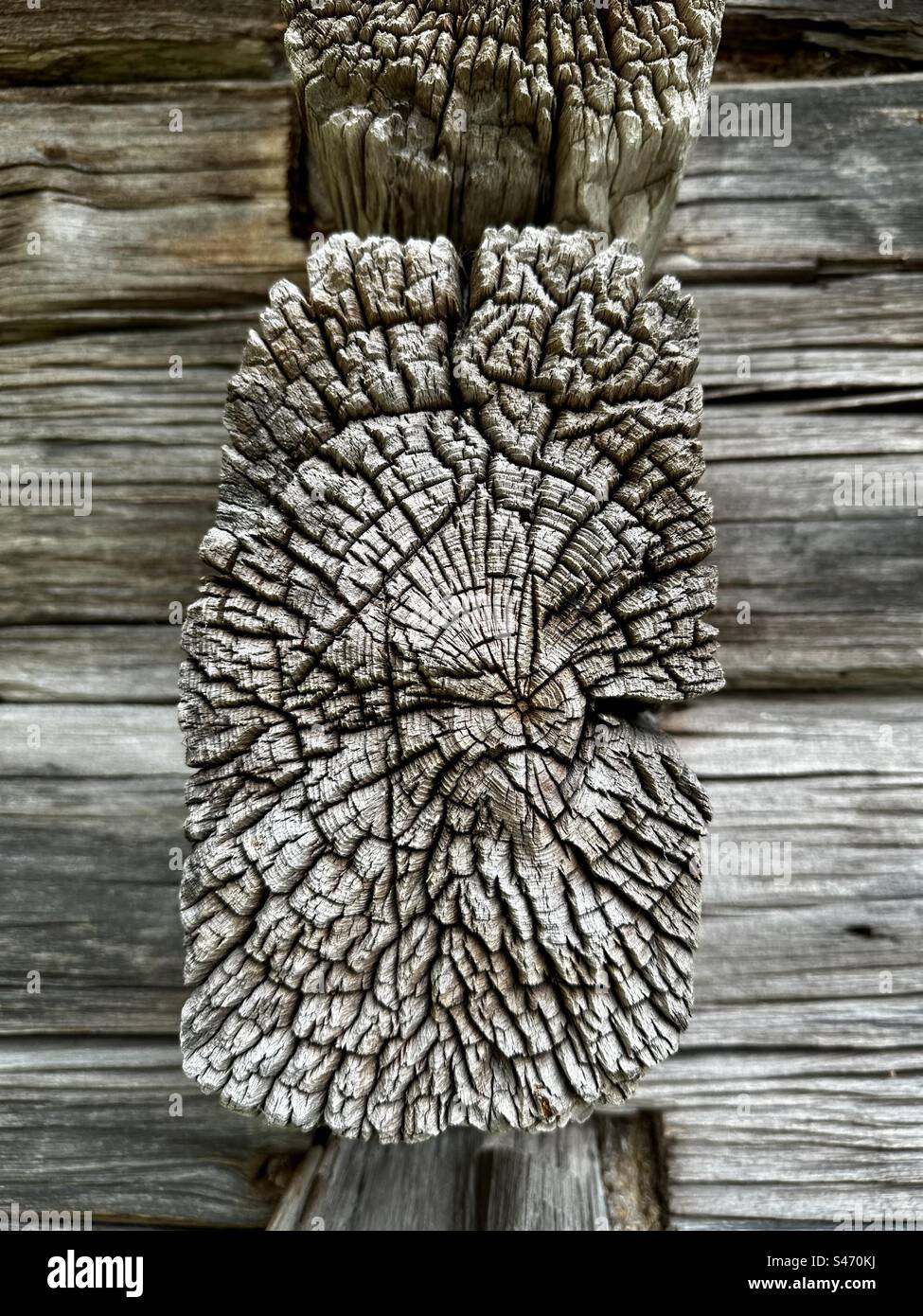 Verwittertes altes Blockende eines Holzblockhauses - Smartphone-aufgenommenes Stockfoto