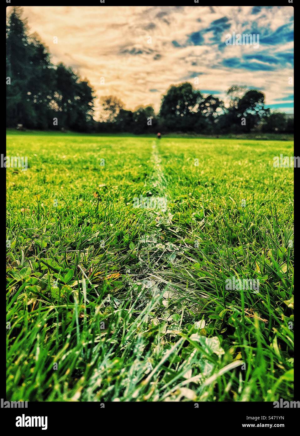 Weißer Streifen auf einem leeren Feld. Stockfoto