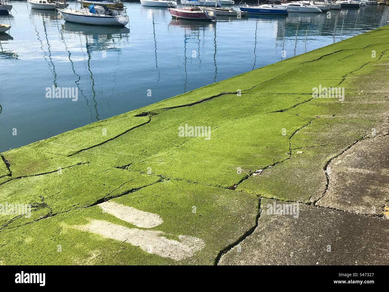 Waterfront - Mossy Green Concrete Stockfoto