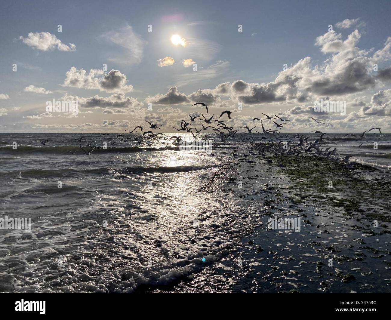 Sonne, Wellen und Möwen an der Nordsee - Smartphone-aufgenommenes Stockfoto