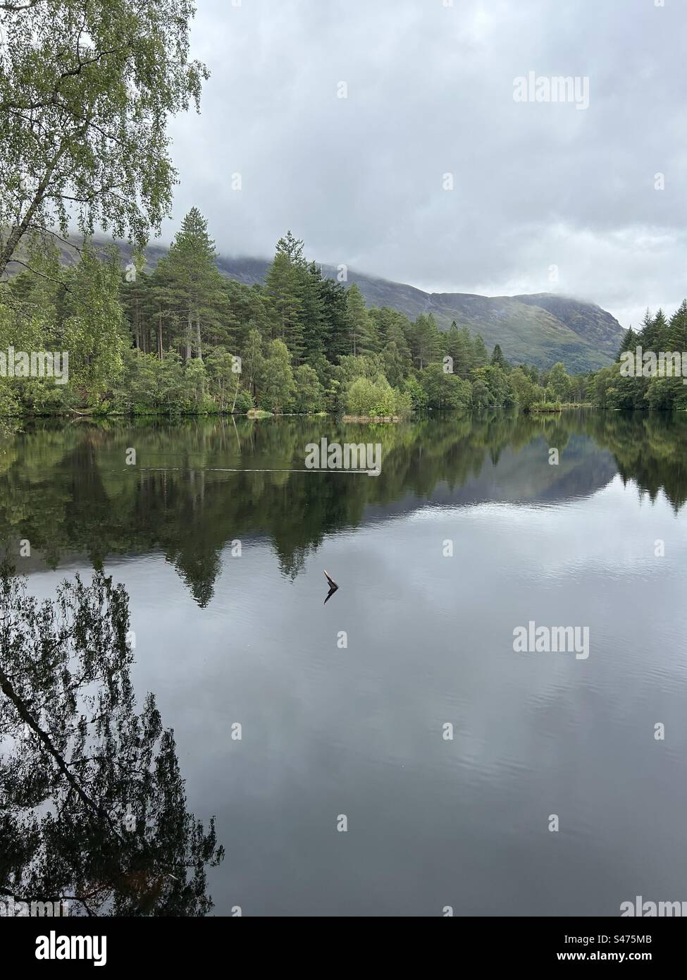 Glencoe Lochan Trails, in der Nähe von Ballachulish, Schottland. Naturspaziergänge in Schottland. Stockfoto