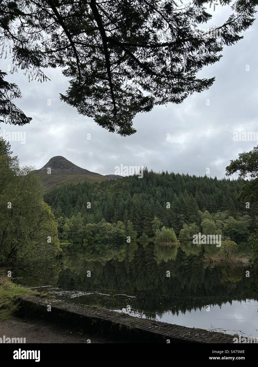 Glencoe Lochan Trails, in der Nähe von Ballachulish, Schottland. Naturspaziergänge in Schottland. Stockfoto