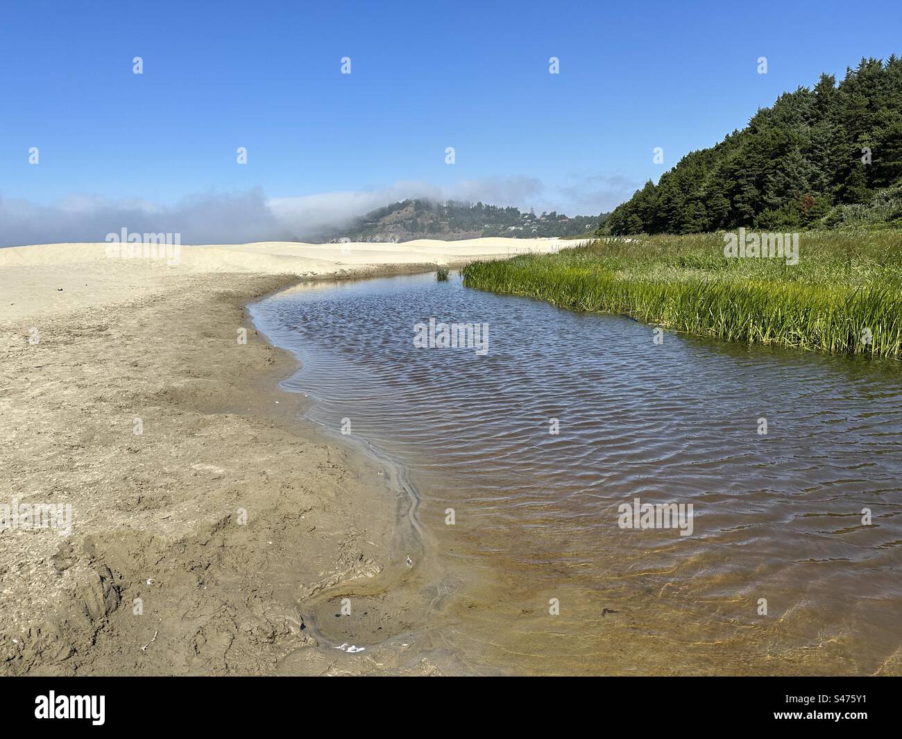 Agate Beach mit Nebel in der Ferne in Newport, Oregon. Stockfoto