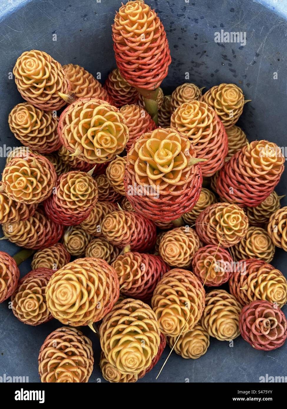 Blumen für den Sonntagsgottesdienst ⛪️✨ Stockfoto