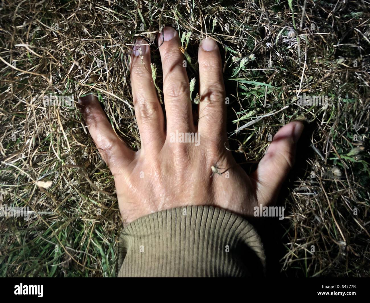 Hand einer Person, die nachts bei künstlichem Licht das Gras berührt Stockfoto