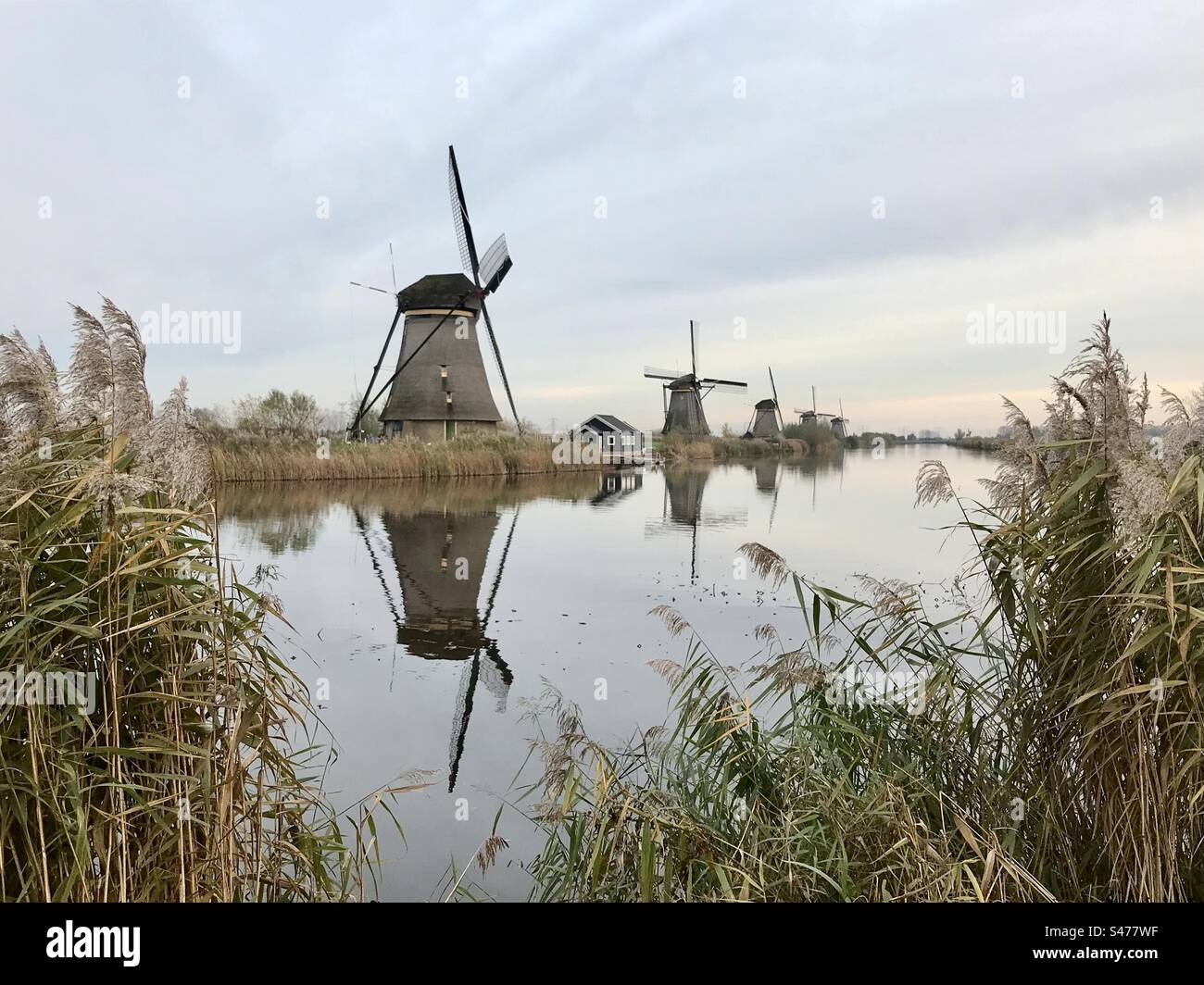 Niederländische Windmühlen von Kinderdijk - Smartphone-aufgenommenes Stockfoto