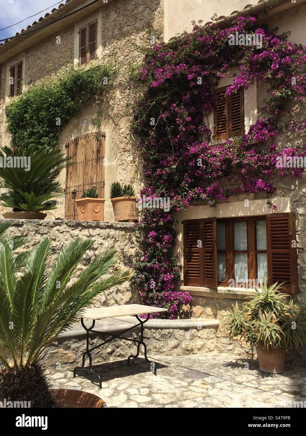Der mediterrane Garten - Smartphone-aufgenommenes Stockfoto