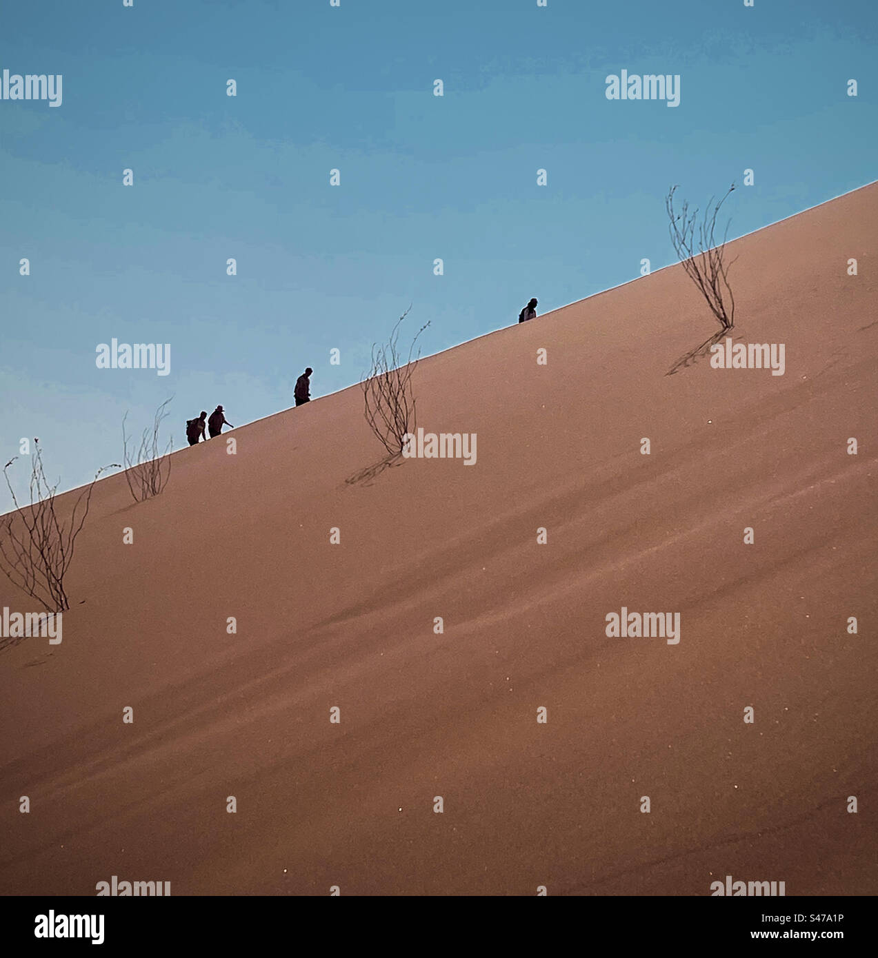 Die Menschen machen sich auf den Weg in die steile Sanddüne von Big Daddy in Sossusvlei in Namibia - Smartphone-aufgenommenes Stockfoto