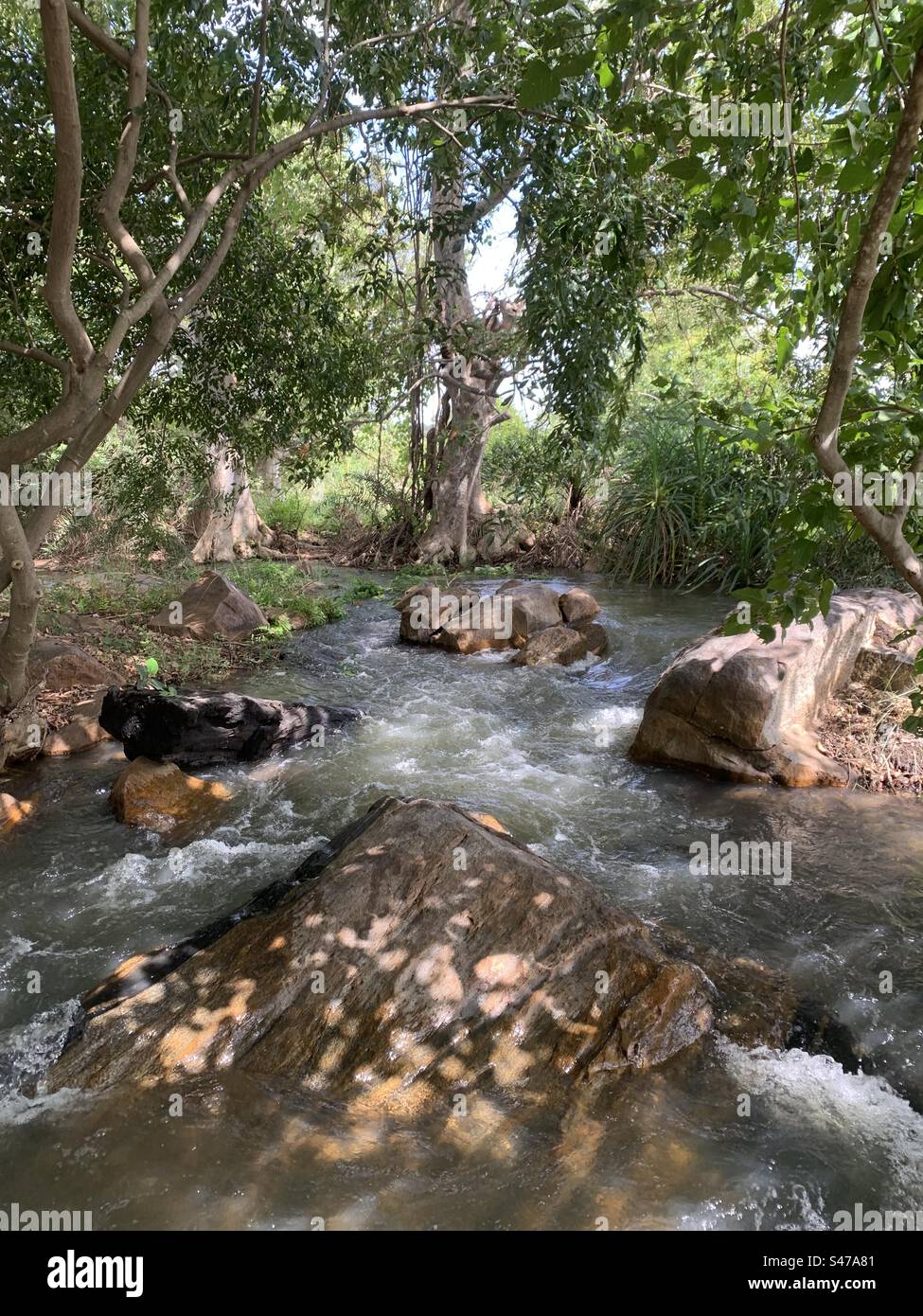 Teich fluss Fotos und Bildmaterial in hoher Auflösung Alamy