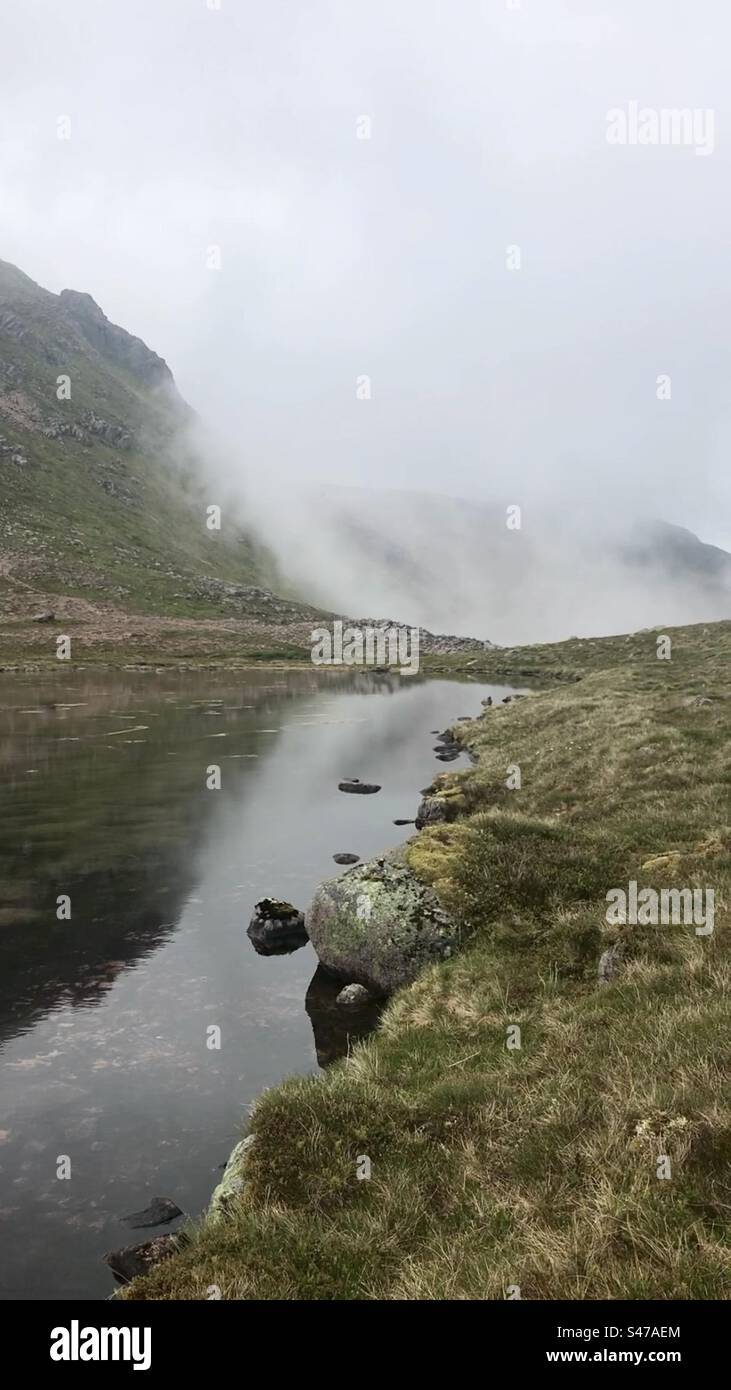 Misty Morning - Smartphone-aufgenommenes Stockfoto