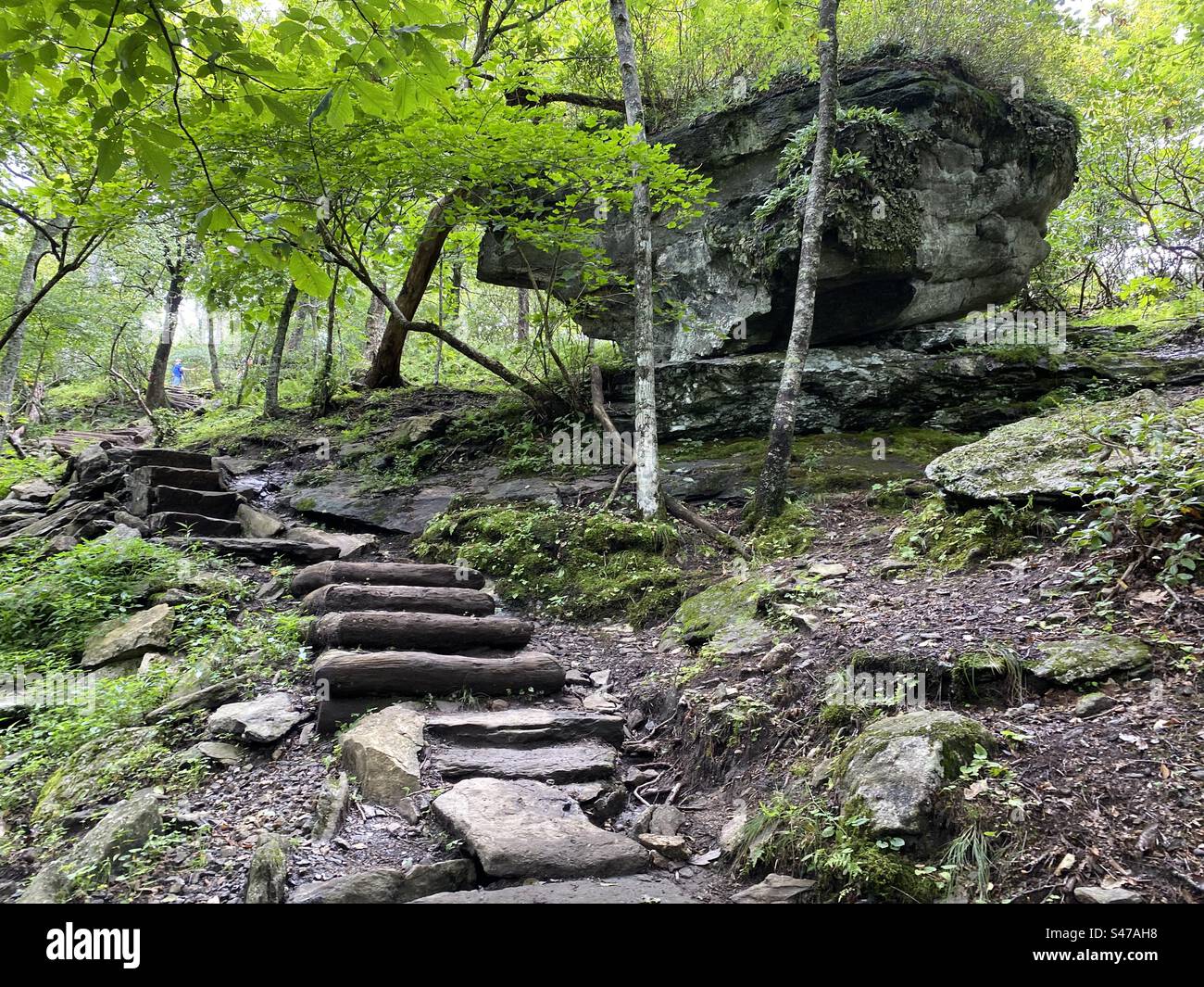 Hobbit-Haus im Wald Stockfoto