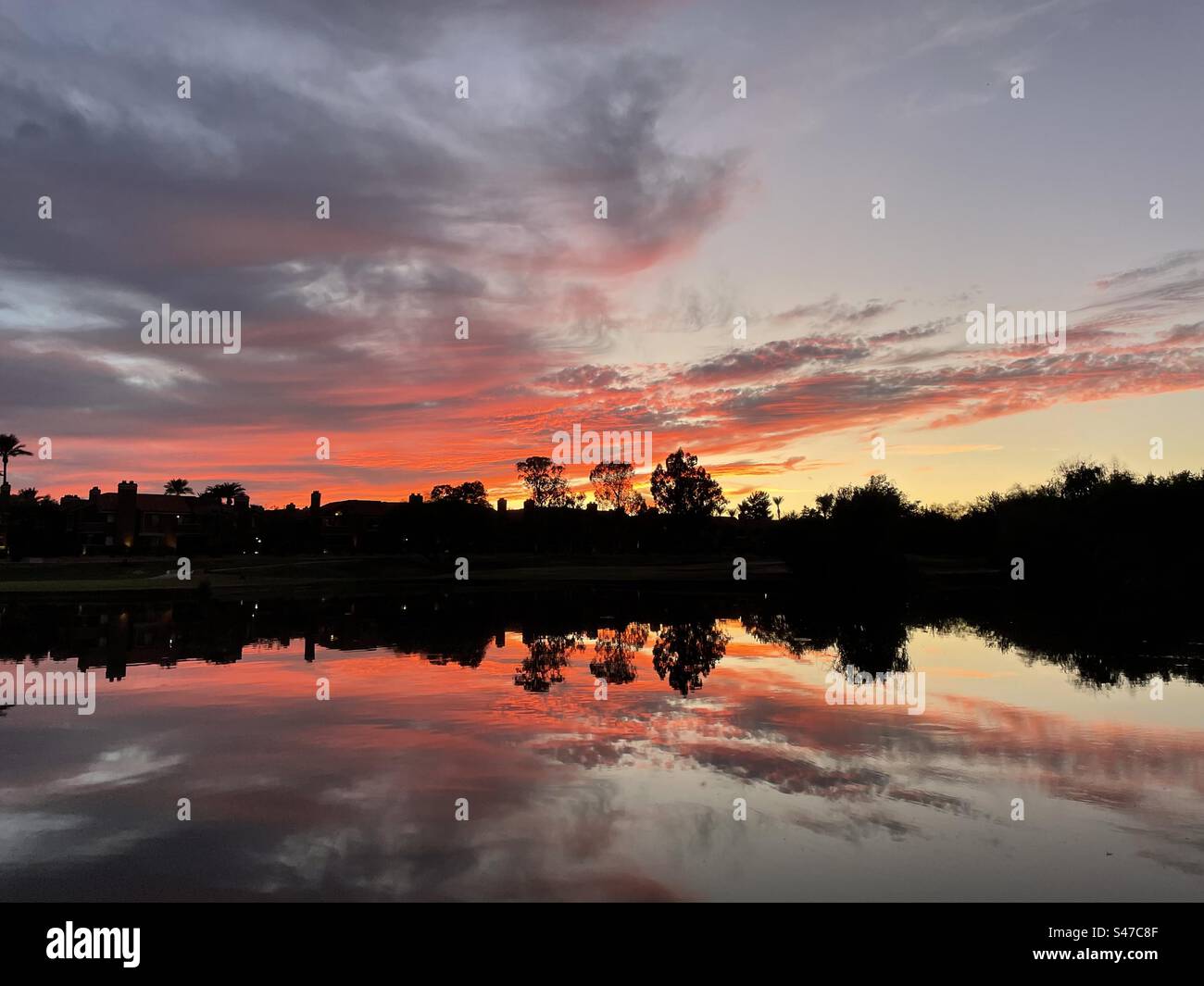 Wo sich Land und Himmel treffen, spiegelnde Reflexion der orange gekippten Sonnenuntergangswolken im hellblauen Himmel, Teich gesäumt von Silhouetten von Bäumen, Scottsdale, Phoenix, Golfplatz, Arizona Stockfoto