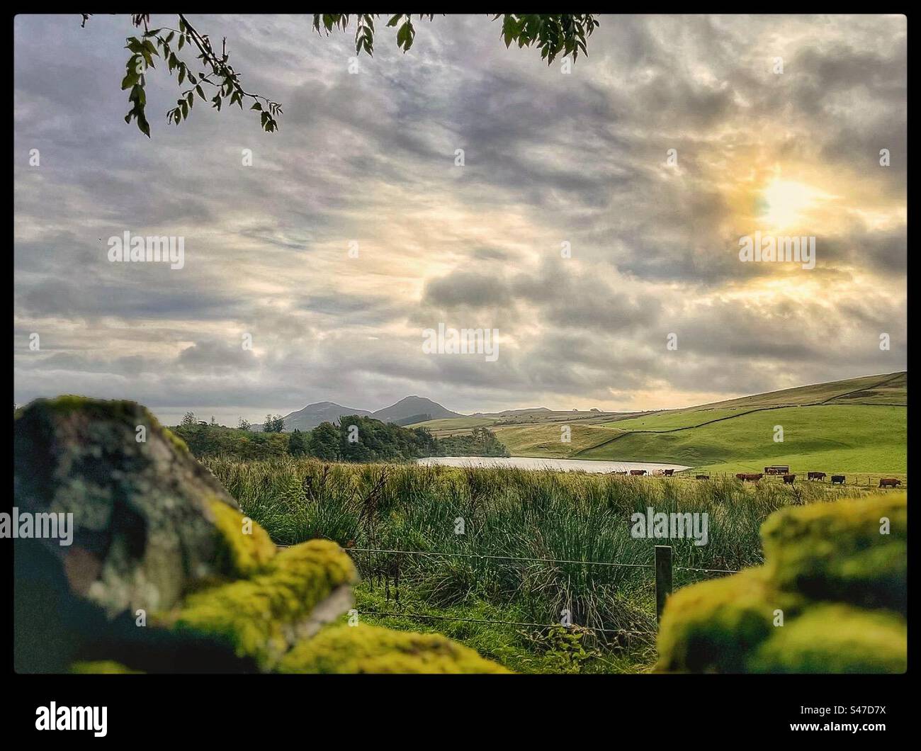 Blick über einen See und Eildon Hügel im Hintergrund. Stockfoto
