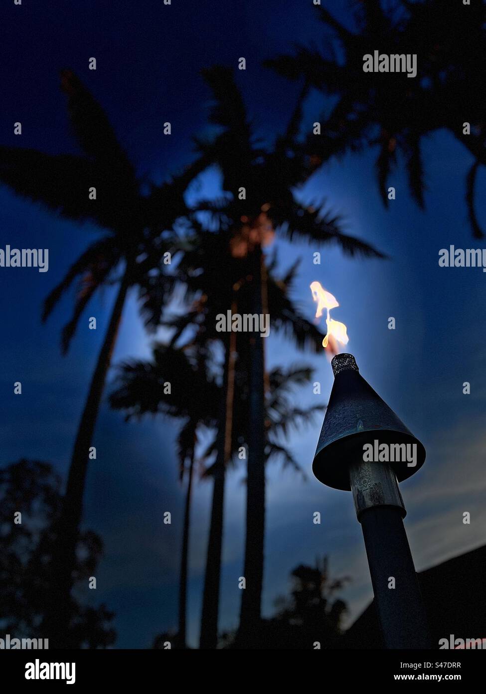 California Sunset Fackelflammen Stockfoto
