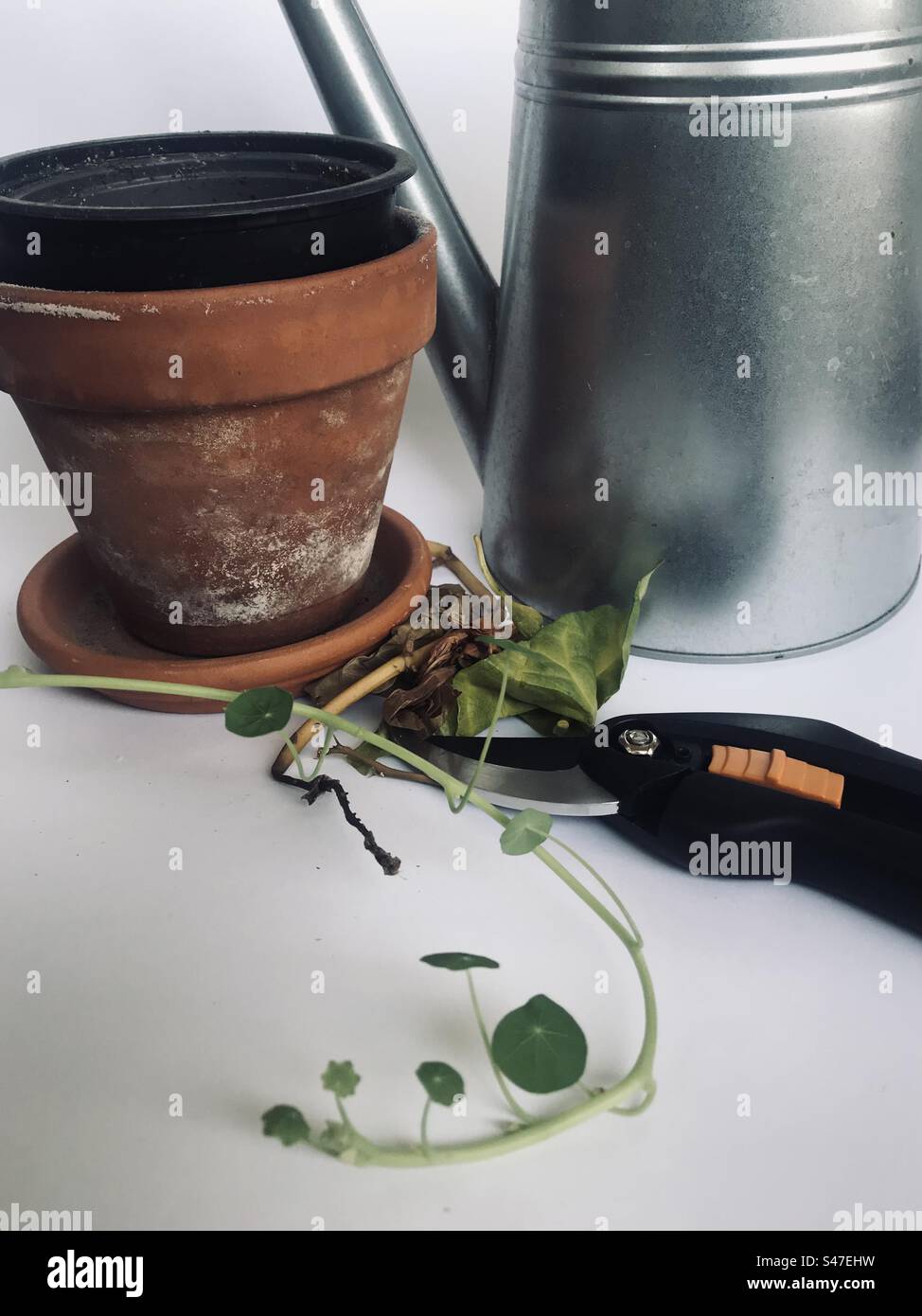 Gartengeräte Stockfoto